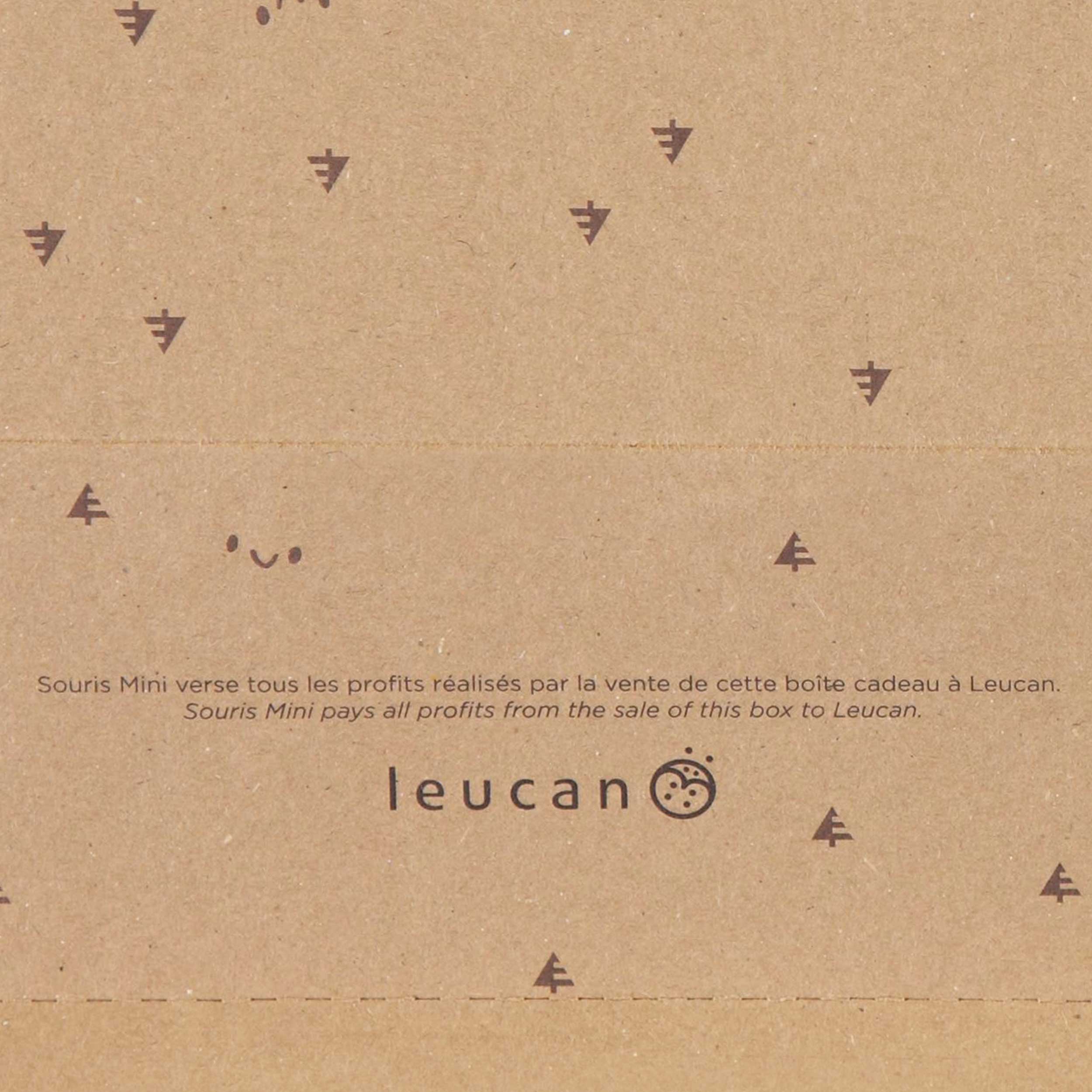 Boîte cadeau format moyen - Image 4